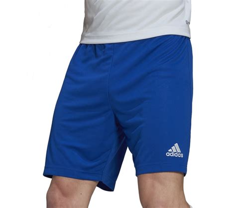 adidas adidas entrada 22 shorts